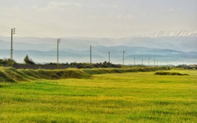 Seasonal Impacts on Overhead Line Pole Inspection: What to Watch For