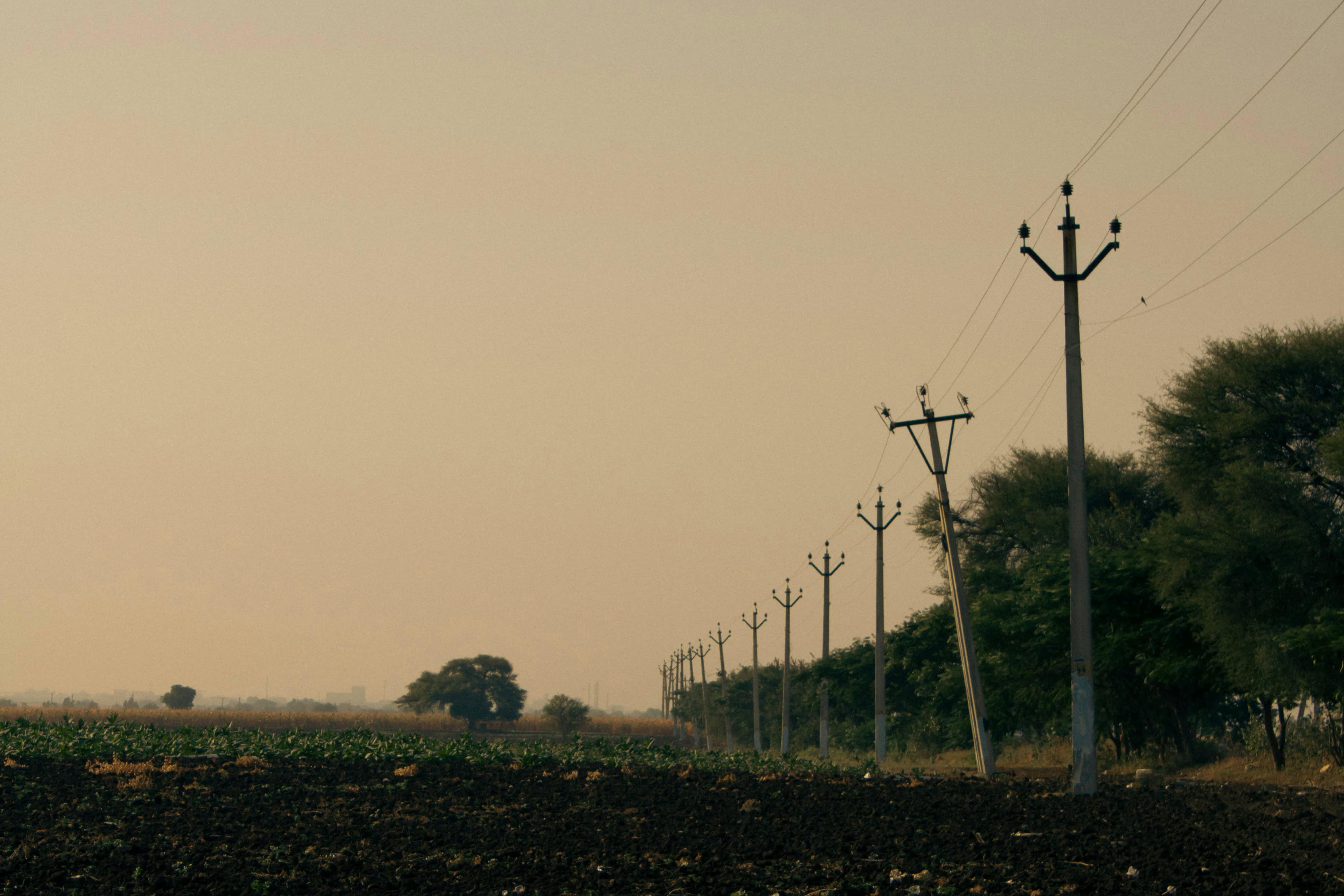 Utility Pole Inspection: How Early Detection of Decay Adds Decades to Asset Life