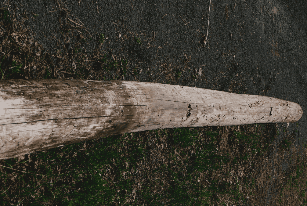 wood pole testing for residual strength value