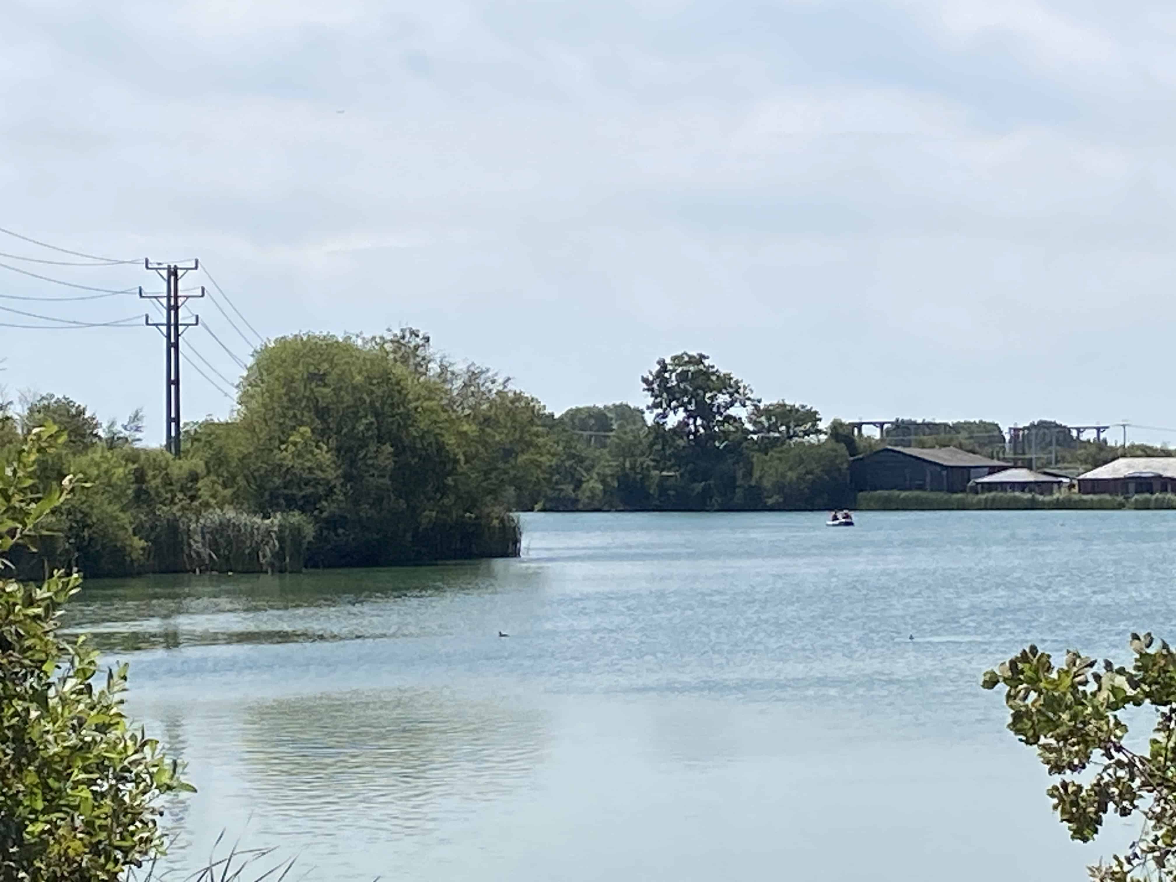 Wood Pole Inspection in Challenging Environments