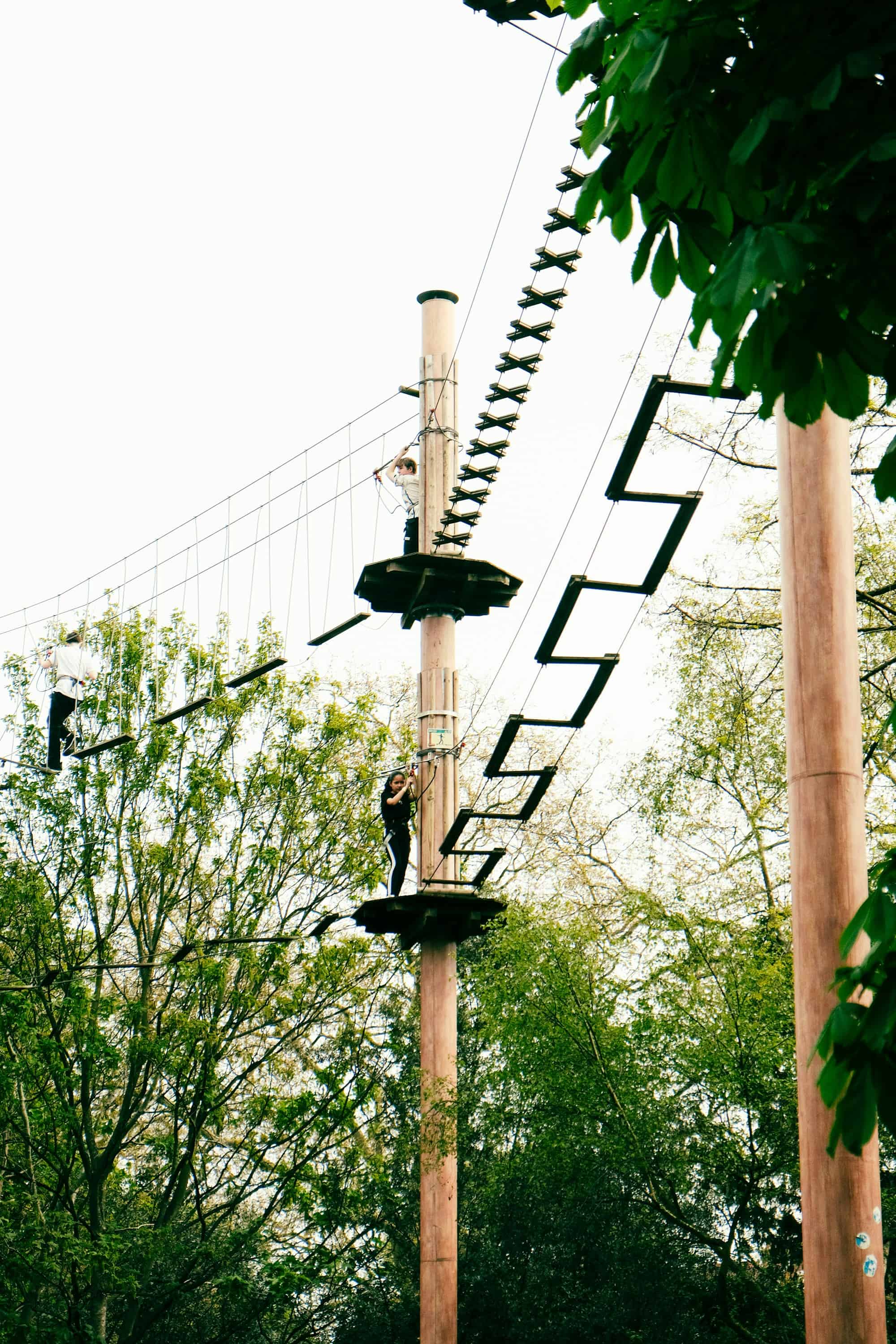 People using timber high ropes and zip wire structures at an outdoor adventure facility