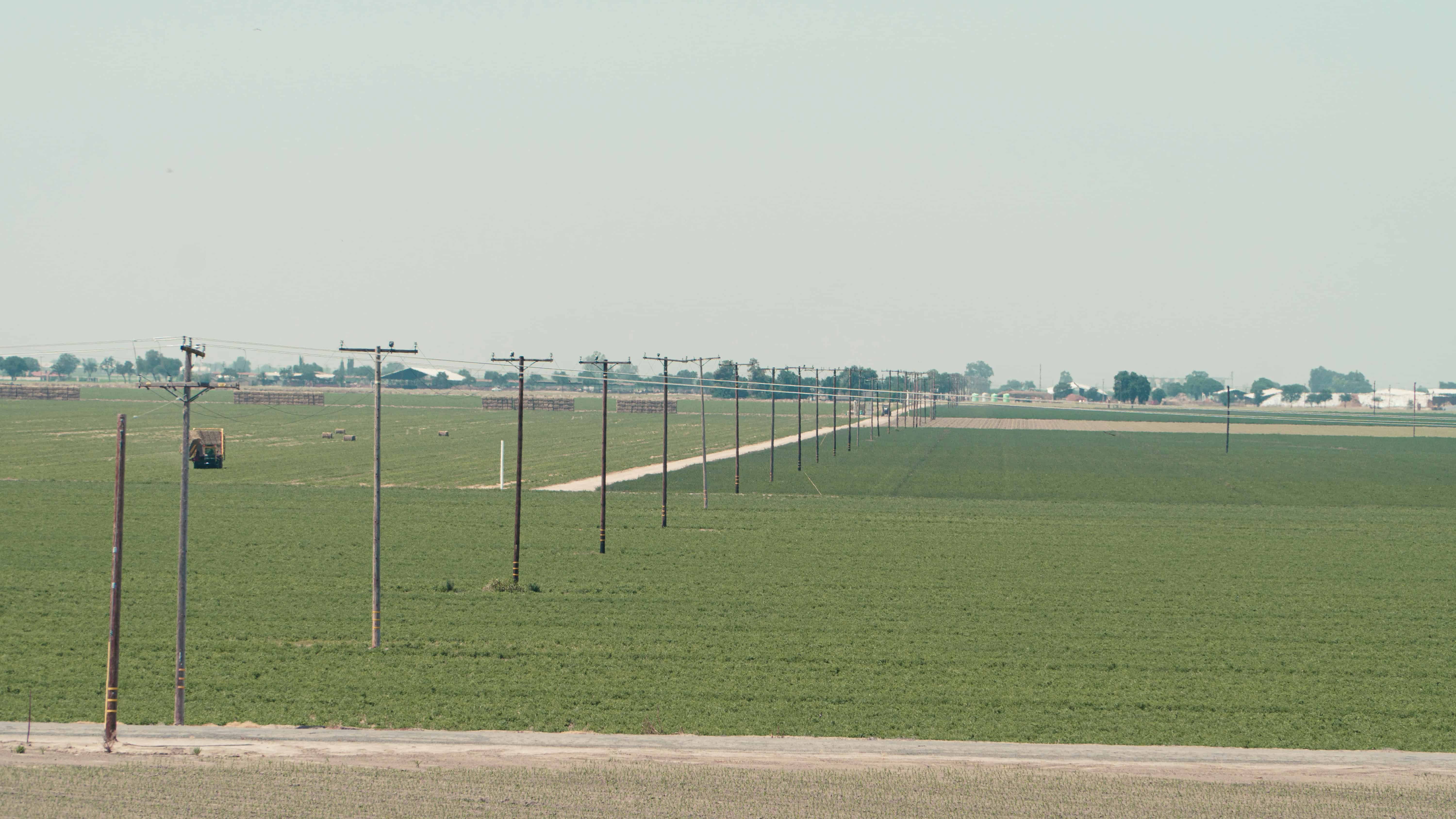 wood pole asset management