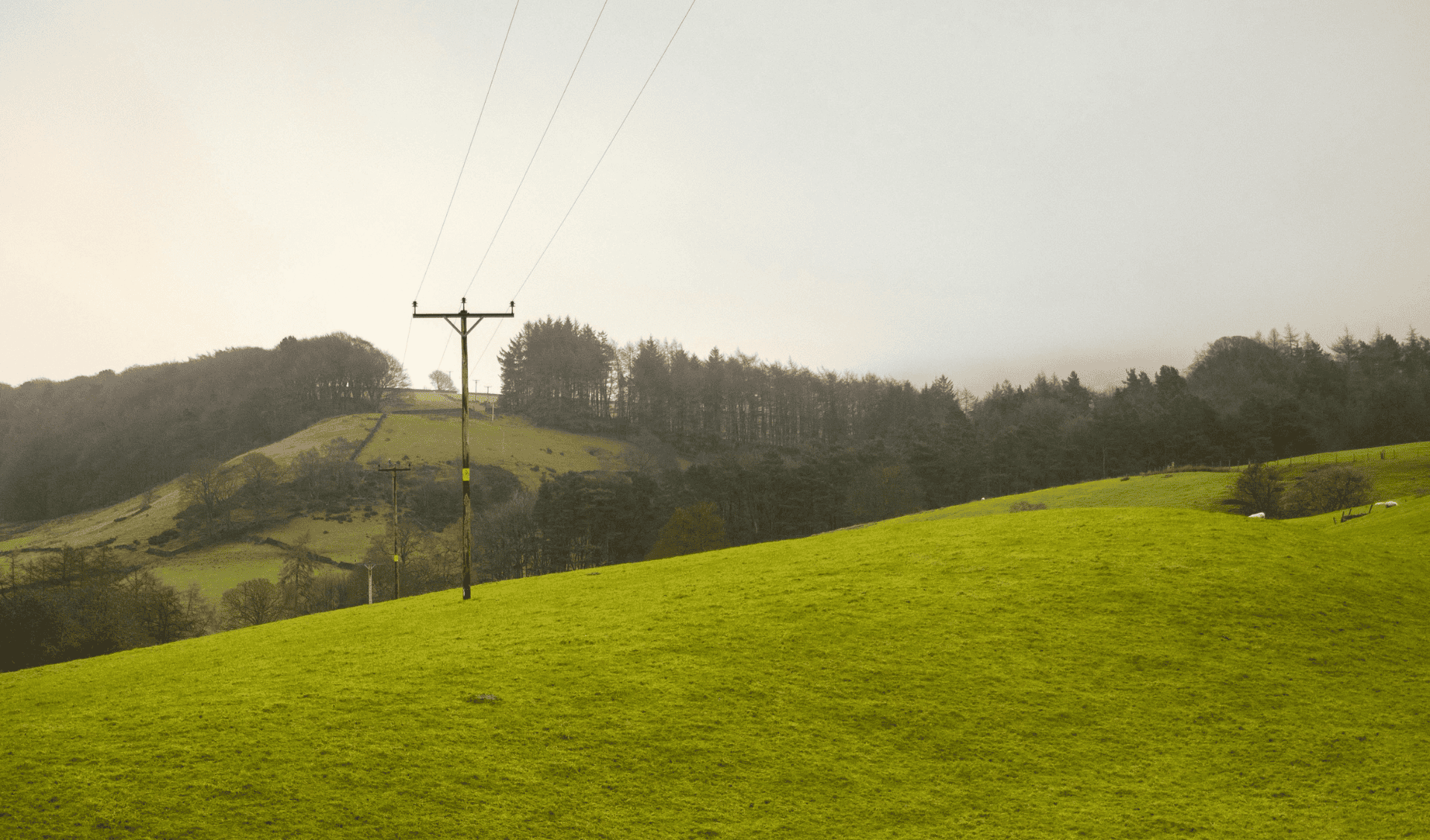 Are You Prepared for a Wood Utility Pole Shortage?